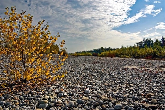 qq群名霸气超拽青春