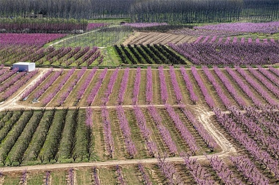 适合吃鸡的妹子昵称500个