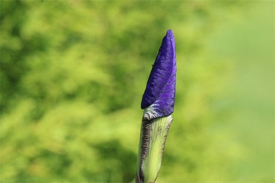 20岁生日快乐祝福语59句