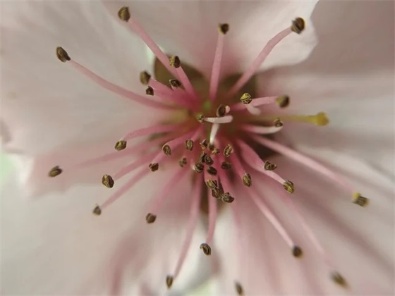 积极向上的祝福语81句