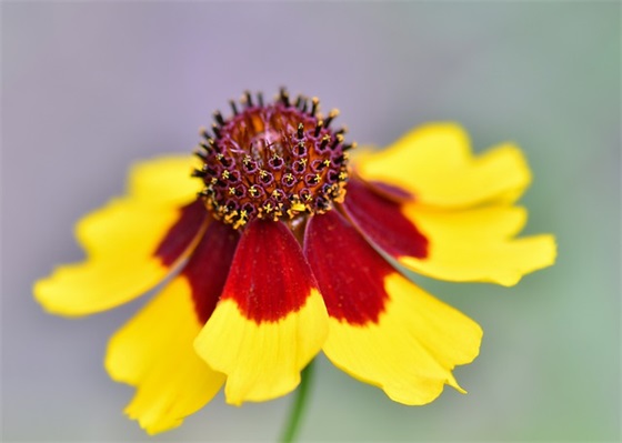 送别友人的祝福语 送别的祝福语