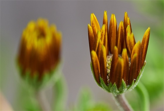 好友过生日的祝福语55句