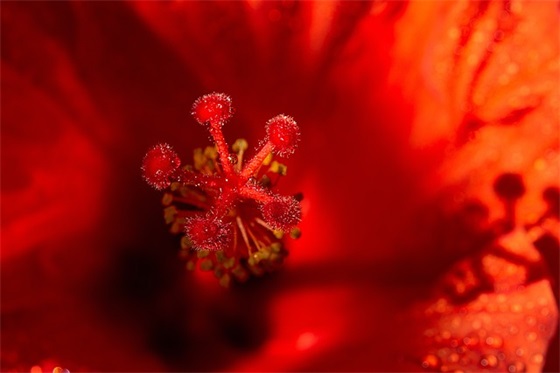 2025年送给老师的祝福语61句