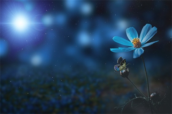 2025年情人节最新祝福语52句