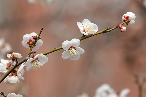 送别祝福语简短93句