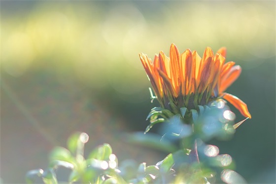 2025年生日祝福语 2025生日祝福语简短精辟