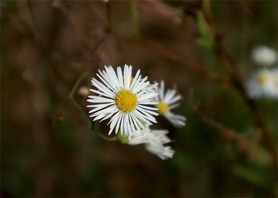 早安问候语暖心简短 早上的情话最暖心短句
