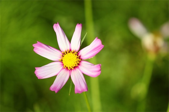 2024钱海军先进事迹感想(精选9篇)