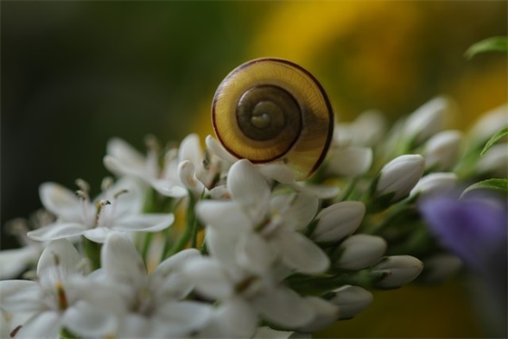 简短伤感文案 520伤感文案简短(精选76句)