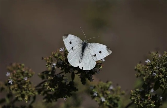 绘图员岗位职责(精选4篇)
