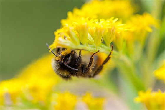 最拽个性签名吊到爆(精选92句)