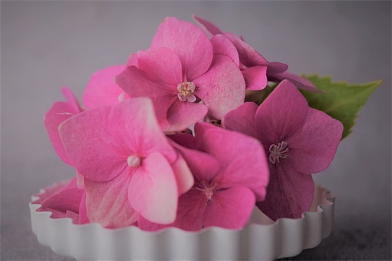 挽回女朋友的情话 挽回女朋友的情话长篇(精选36句)