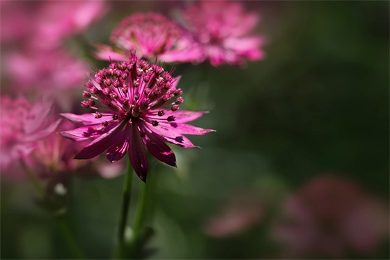2024年酒餐厅开业祝贺致辞大全(精选3篇)