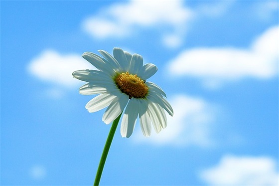 餐桌前的谈话(精选4篇)