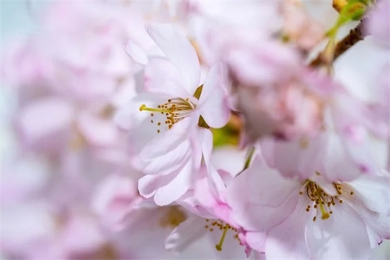 身边有趣的现象(精选5篇)