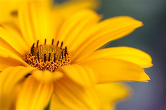 2024公务员面试模拟试题题目及答案(精选3篇)