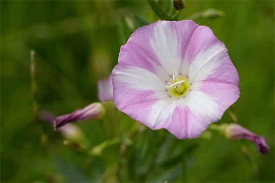 2024年物业工程经理职责要求(精选6篇)