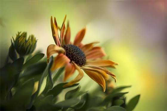 英雄联盟经典台词 英雄联盟经典台词人生哲理