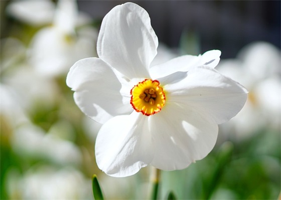 我心中的那道阳光(精选3篇)