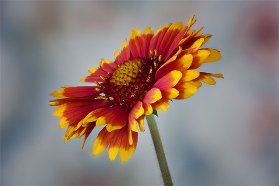 关于骂小人的语句(精选75句)