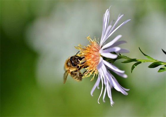 小学毕业寄语简短精辟(精选56句)