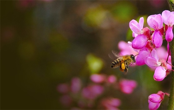 日记一则(精选8篇)