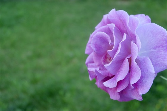 闺蜜聚会经典语句大全(精选50句)