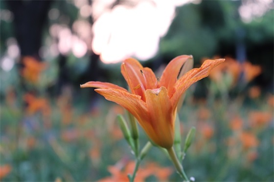配自拍的简短文字 男生配自拍的简短文字(精选98句)