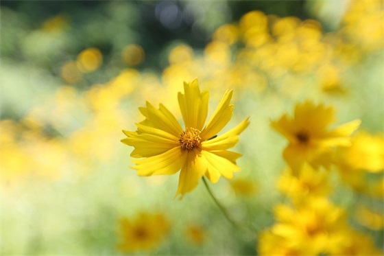 一次科学实验(精选5篇)