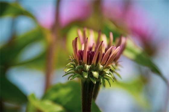 宴会领导致辞模板(精选4篇)
