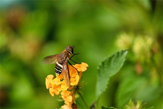 纪念日结婚俏皮短句 结婚30年纪念日经典短句