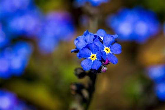 情侣有趣的早安问候 情侣温馨的早安问候(精选76句)
