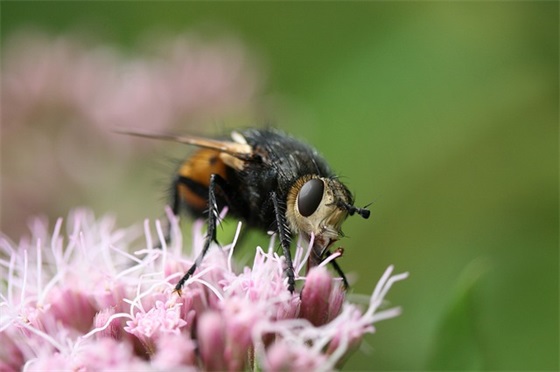 致自己一句话心情签名 一句话心情压抑的签名