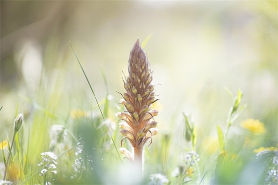 建筑专业学生自荐信(精选3篇)