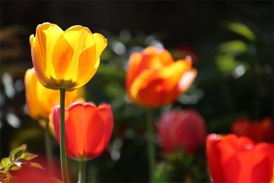 仿写祖先的摇篮二三段(精选10篇)