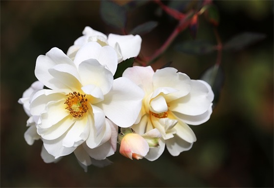 坚持到底的文案 坚持到底的励志文案(精选77句)