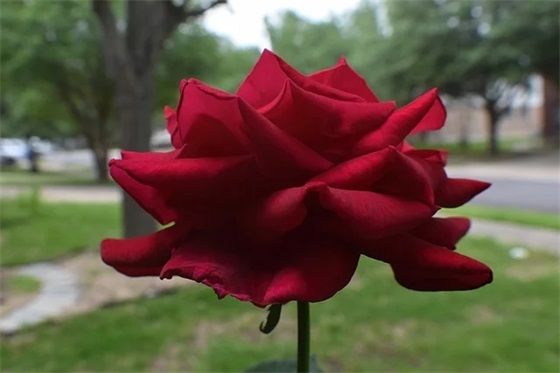 2024领导在安全生产月上的讲话(精选3篇)