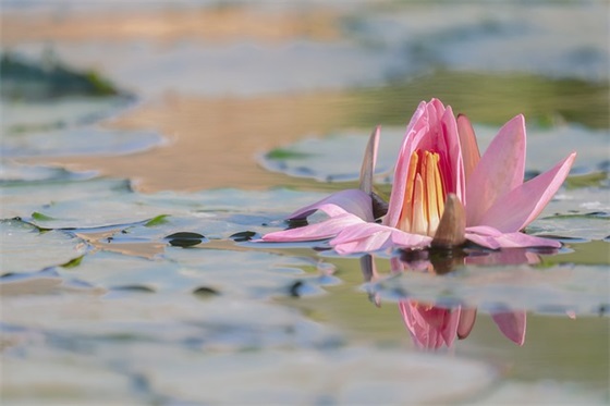 正能量激励人心励志工作的走心文案(精选75句)