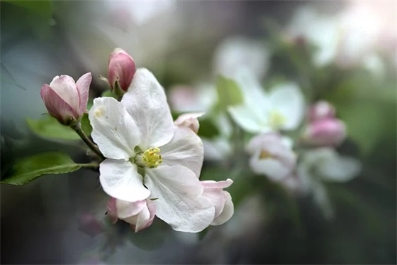 甜到炸的高级情话 一句话高端秀恩爱(精选89句)