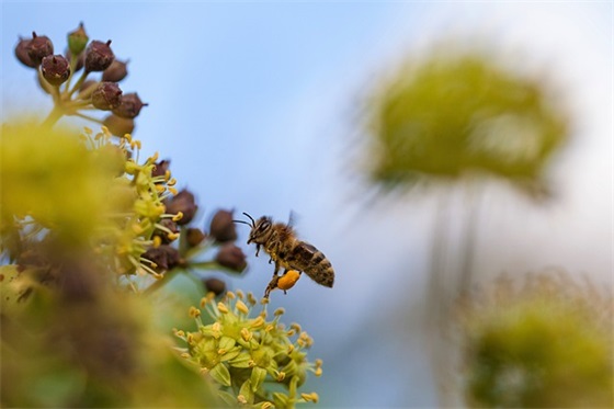 形容下雨天的心情短语 形容下雨天的心情短语下雨适合睡觉