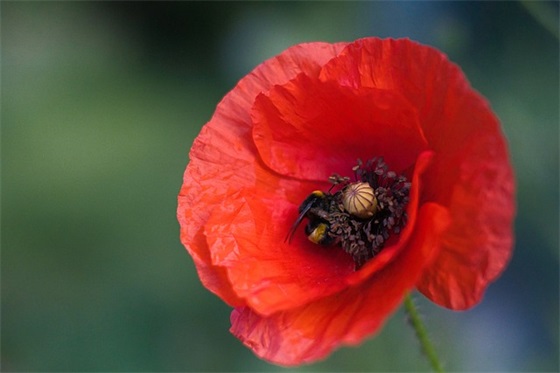 疫情期间护士的简短感言(精选3篇)