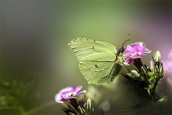 激励自己的座右铭汇总 积极向上有激励的座右铭