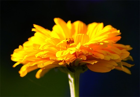 因为有你在(精选3篇)