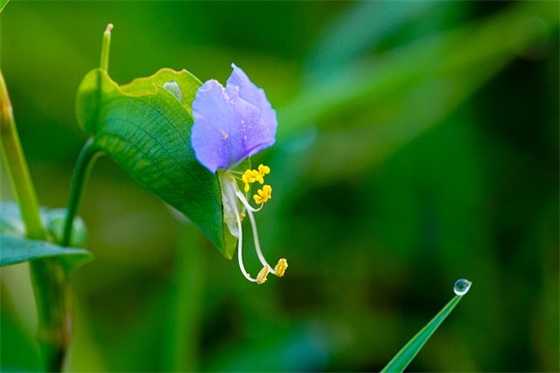 2024土木工程专业求职自荐信模板(精选3篇)