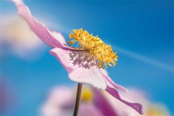 精选的小学毕业恩师赠言大全 【小学毕业恩师留言简短】