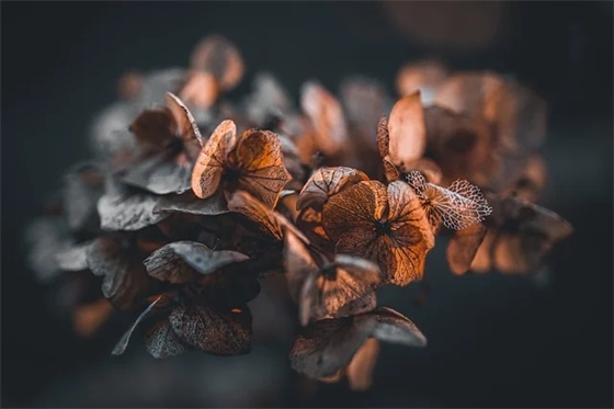 国庆节黑板报语录 - 119句