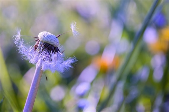 国学底蕴（激发孩子的智慧之源）