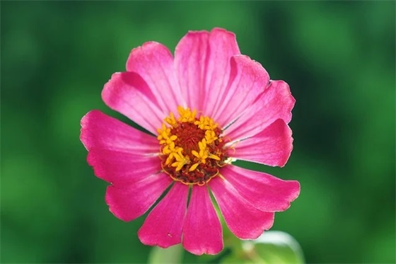 宝宝乳名 最常见7种起名法汇总