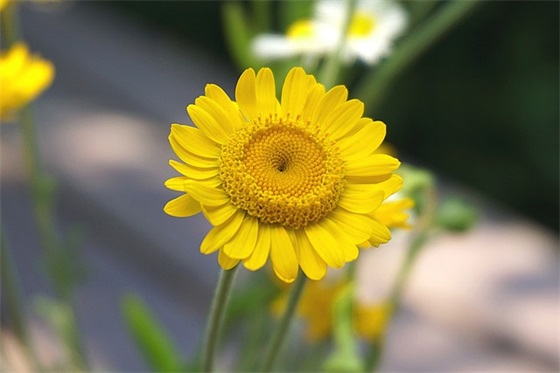 谭姓带余字的男孩名字