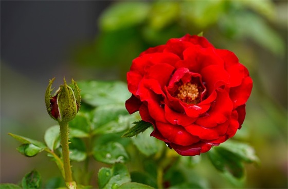 岳字女孩名字大全（可取名字及其含义）